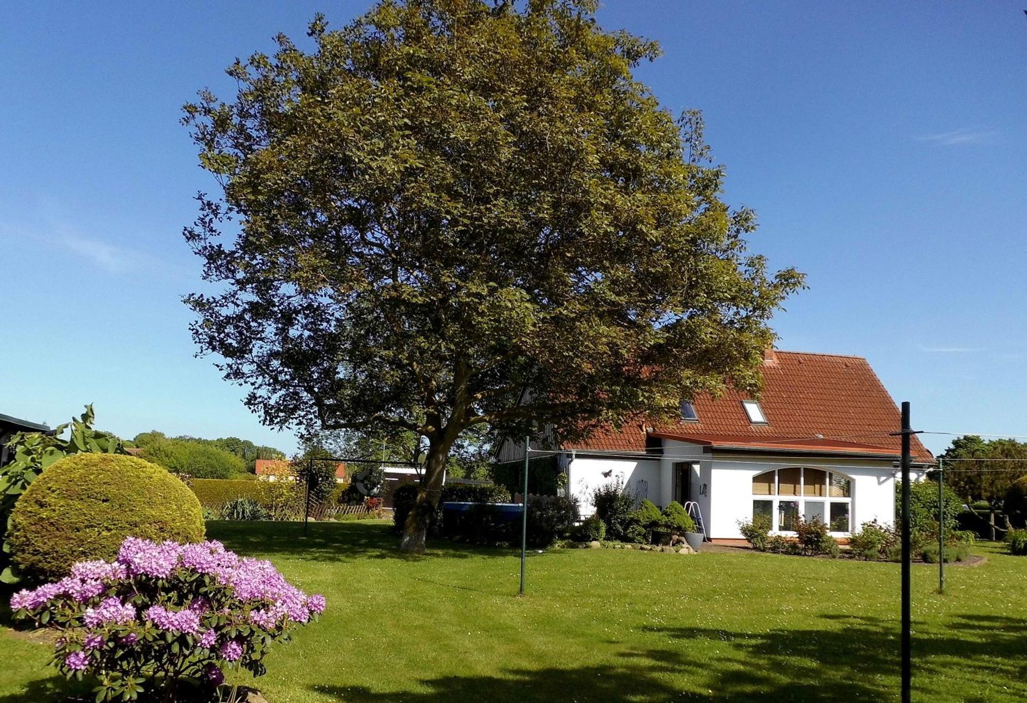 Bungalow Und Ferienwohnung Auf Ruegen Kluis Extérieur photo